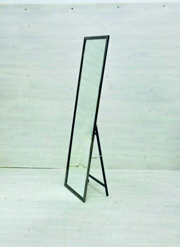 dressing mirror use for room and bathroom