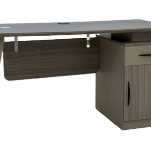 Modern Executive Office Desk with Storage Cabinet - Grey Finish